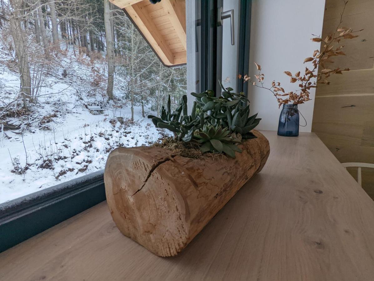 Vítkovice Jasmin Home מראה חיצוני תמונה